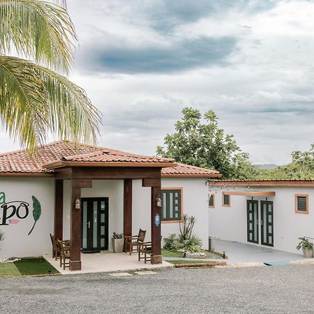 Casa Campo Bed & Breakfast 圣塞瓦斯蒂安 外观 照片